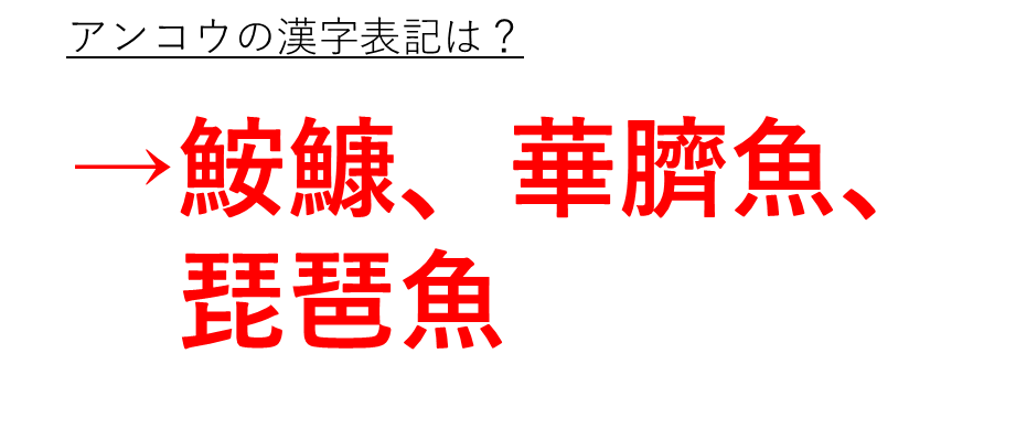 アンコウの漢字表記は鮟鱇や華臍魚や琵琶魚か 読み方や和名や由来 語源も解説 魚編に安や康の漢字 ウルトラフリーダム