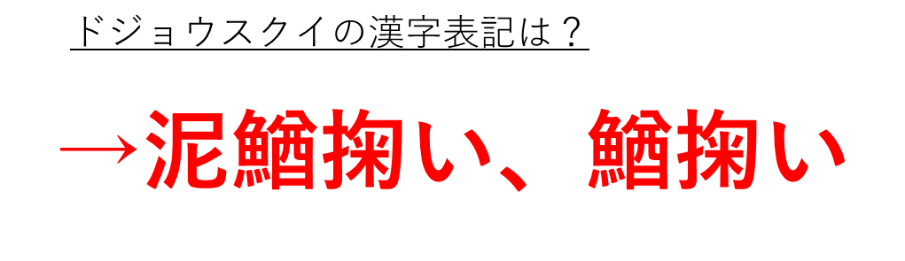 ドジョウの漢字表記は泥鰌や鰌や鯲か 読み方や和名や由来 語源も解説 どじょうすくいの漢字は ウルトラフリーダム